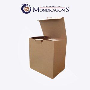 Caja Café para gorra 22 x 22 x 15 cm