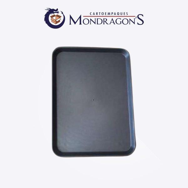 Charola rectangular #12